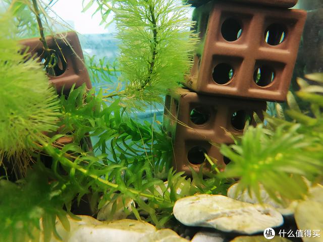 大蜗牛制砂机