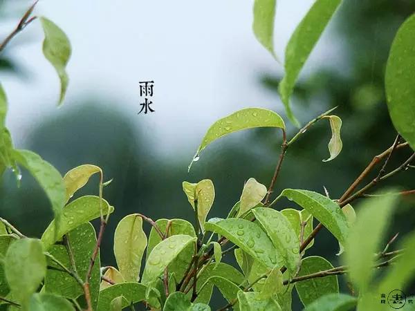 一場春雨一場夢(昨夜又是一場春雨,想來在昨夜風雨中)_手工miao