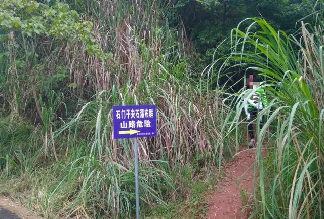 乐山石子洗砂机厂家