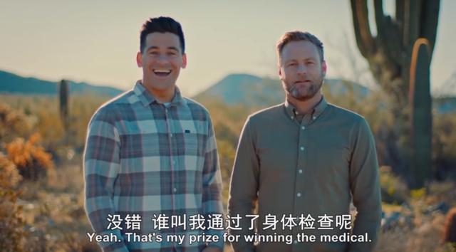 金属破碎机每日开机前必做检查比例失重调整