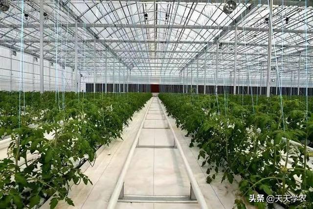 第26届杨凌农高会农业机械展