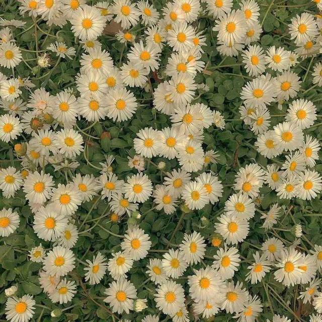 qq个性主页背景图片(qq个性主页背景图片伤感)-天晟网