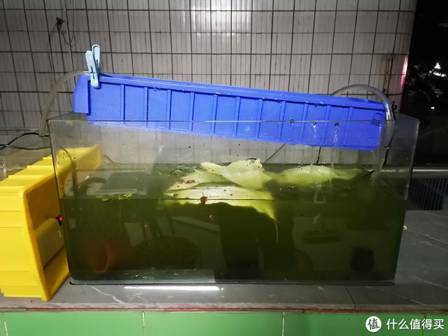 大蜗牛制砂机