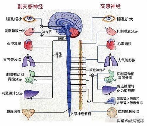 流口水是怎么回事