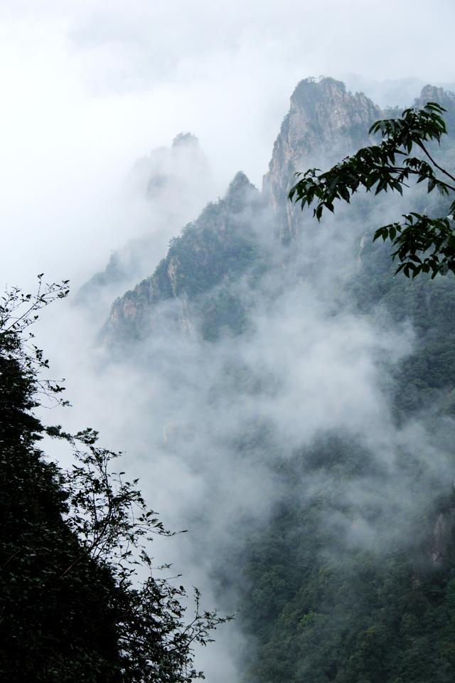 老君山风景区在哪里