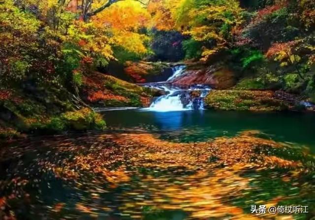 生命是一裘华袍一句话读懂人生 新闻红