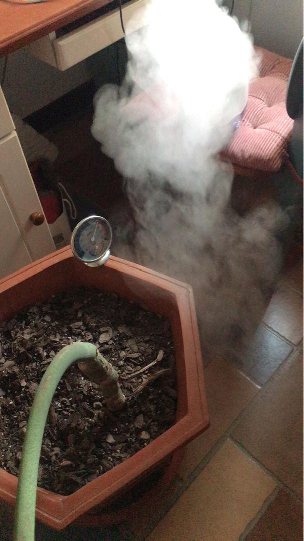 净化室内空气 净化室内空气  净化室内空气效果最好的植物是 生活