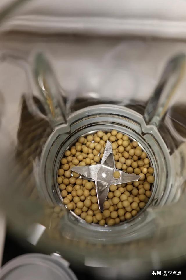 破碎机豆浆有渣子