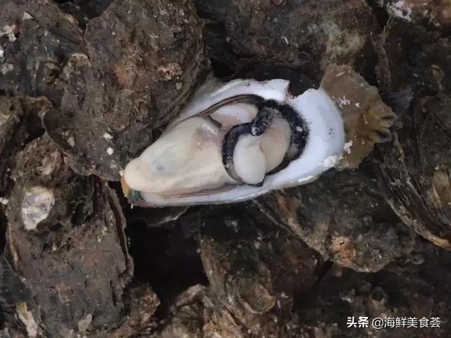 海鲜都有什么