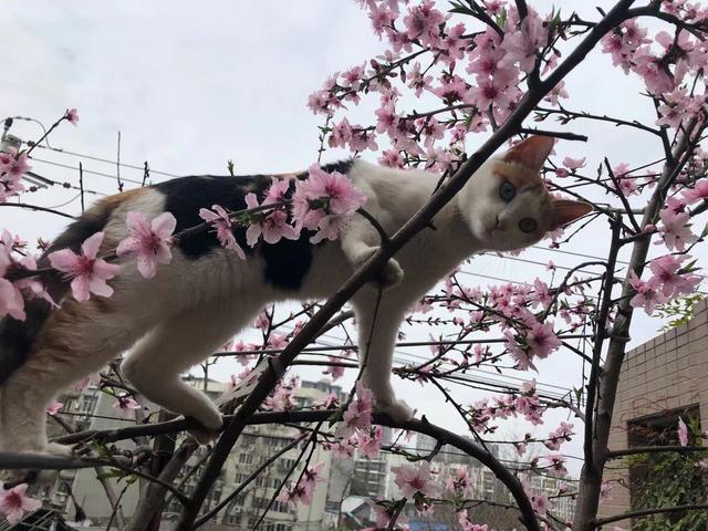 女人同情男人什么意思