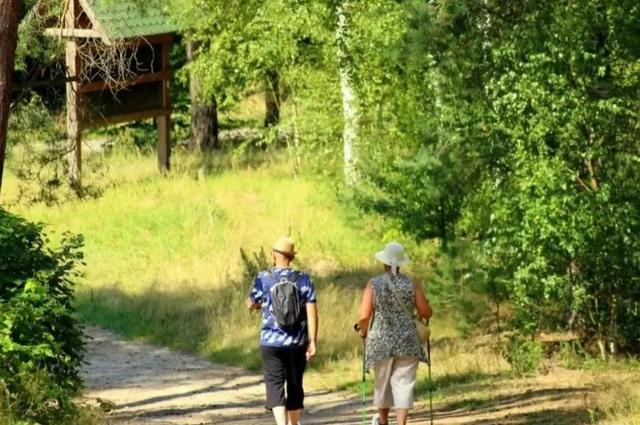 吃什么可以长寿？