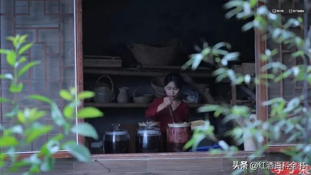 自酿葡萄酒过滤机的用处