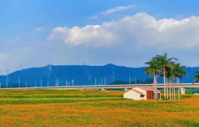 深圳机械展可以带小孩