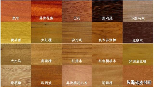 3月15日广州木工机械展