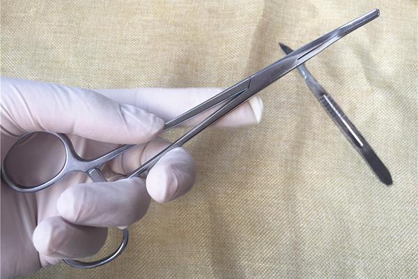 蒲公英根提取物可在48小时内杀死98%的癌细胞？真相到底如何？