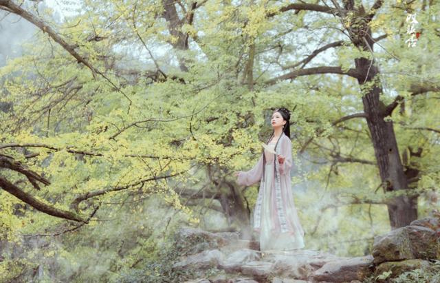 后宫肉戏完本小说(神豪后宫流小说排行榜)