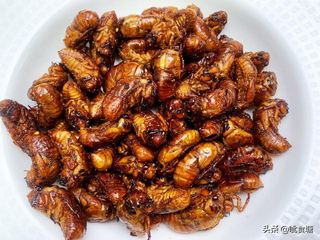 知了猴你还敢吃吗(知了猴你敢吃吗)(9)