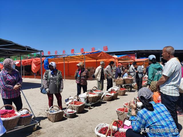 烟台大樱桃早熟品种批量上市，看张格庄市场的收购场景