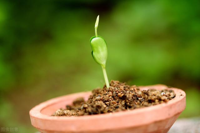 中国人要从中医角度来调理孕妇的健康