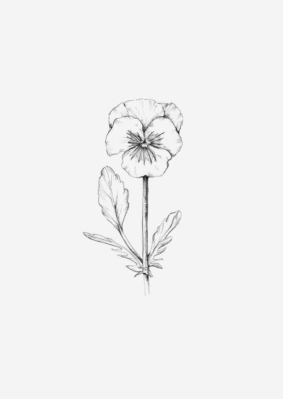 铅笔画花