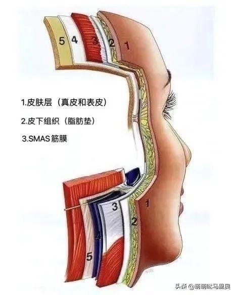 皮肤松弛下垂怎么办