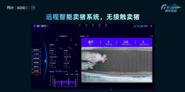 硬核！产业互联网如何让1.5万亿生猪产业乘风起飞？