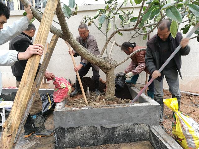 制砂机设备安装费