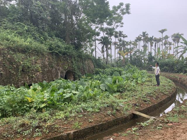 屯昌风化砂制砂机厂家