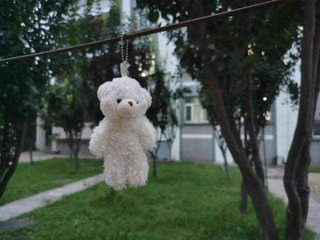 影片剧照