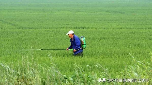 关于除草剂，这么多的常见成分你真的了解吗？11