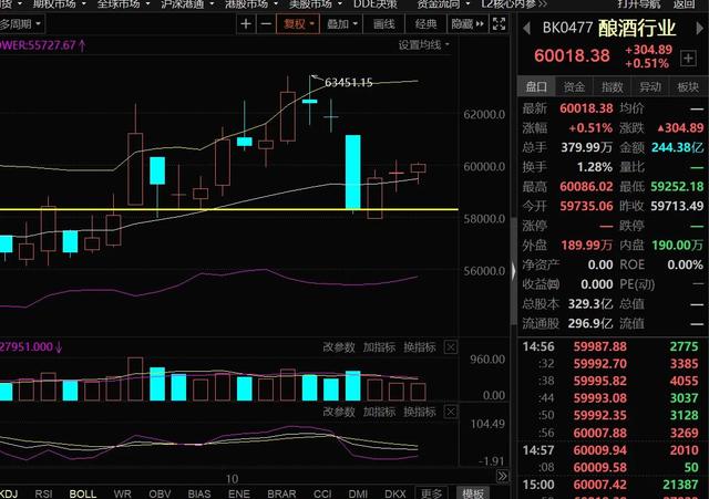 10.22号白酒 医疗 新能源 半导体 煤炭 证券 基建等板块分析与机遇