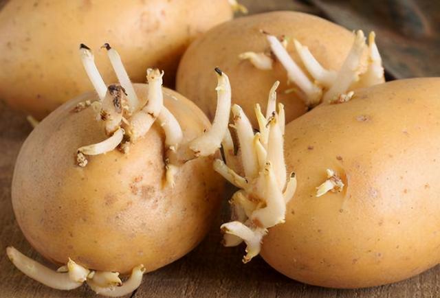 提醒家人：常见的7种蔬菜尽量少吃，或会威胁健康