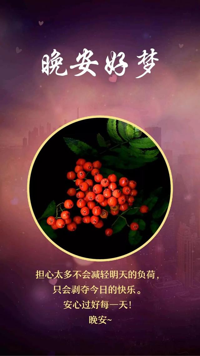 晚安心语181227：你啊，大概是我世界里，最后一次风吹草动