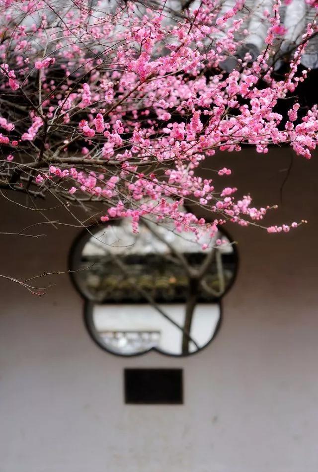 二月二龙抬头的风俗习俗，有关二月初二龙抬头的诗词