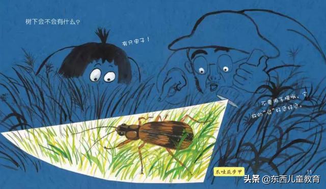 重视这一类阅读，孩子的阅读就有底气了