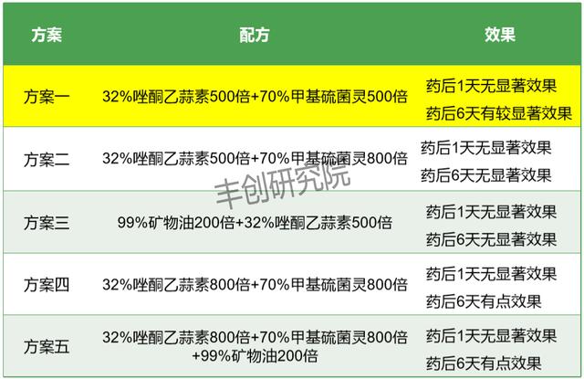 气候回暖，青苔又找上门来了？别着急，试试这几个方案10