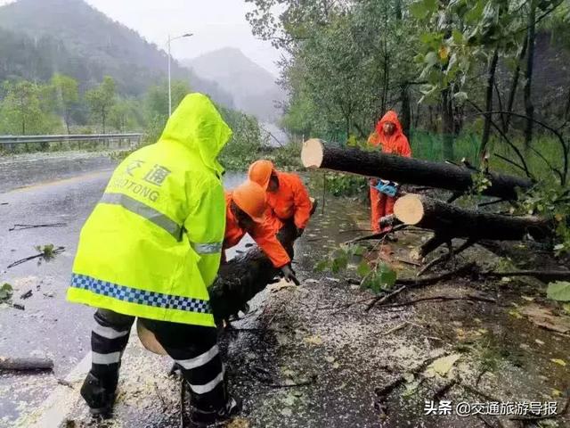 乌市新市区进口轮式洗砂机