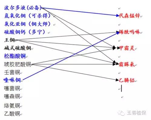 霜霉病用药方案7