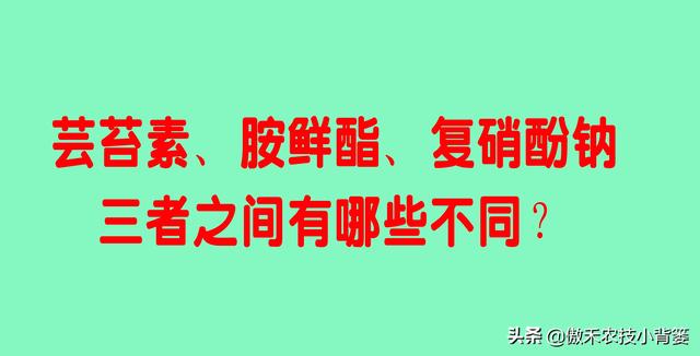 芸苔素内酯、胺鲜酯、复硝酚钠，作用看似差不多，但实际差别很大