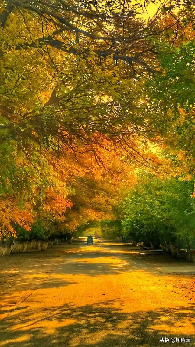 风光摄影两大技巧 帮助新手拍美秋天风景 照片质量提升看得见 今日热点