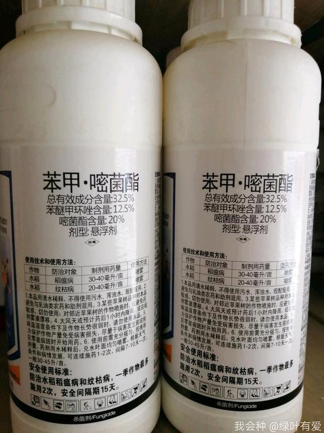 水稻患上纹枯病减产50%？农户告诉你：做到这5点轻松防治8