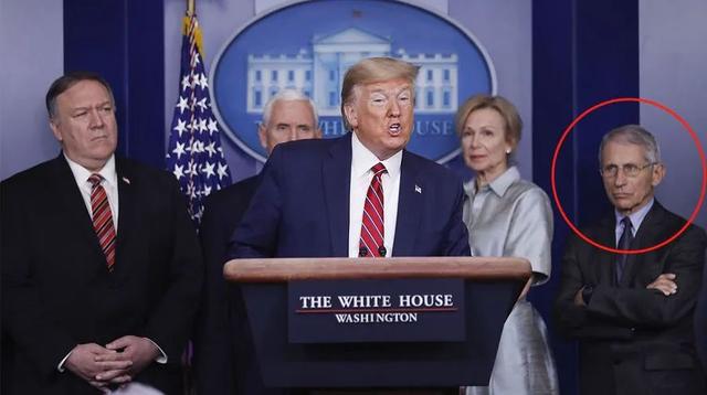 福奇怎么了（福奇被调查）