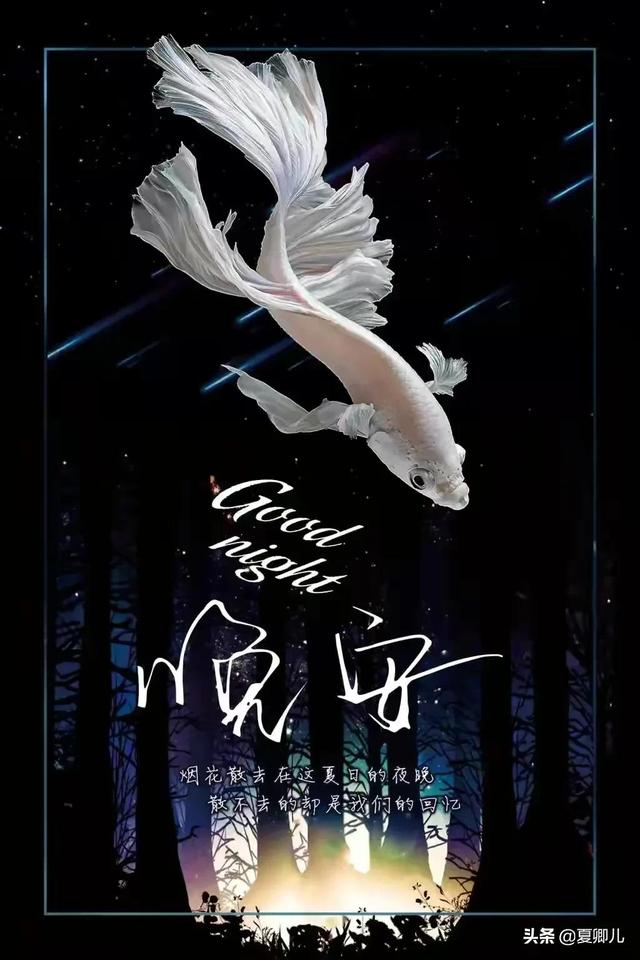 杨蕾离婚拿走七百万美元，土豆网掉下神坛，做人还是要讲良心