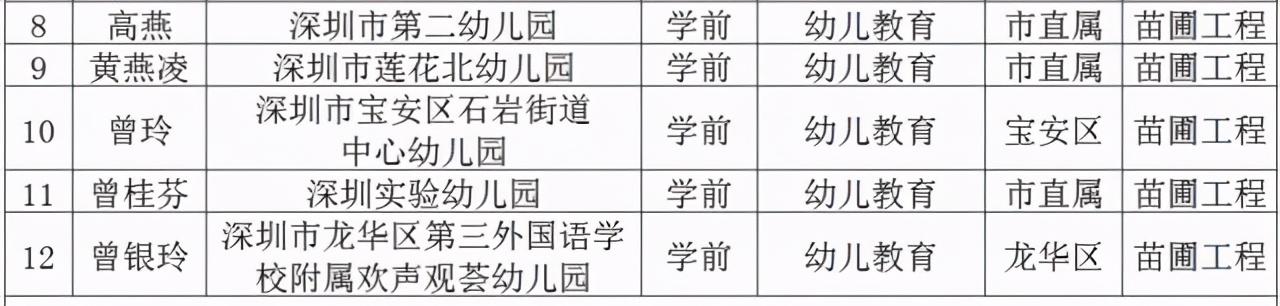 名师工程人选个人三年发展规划