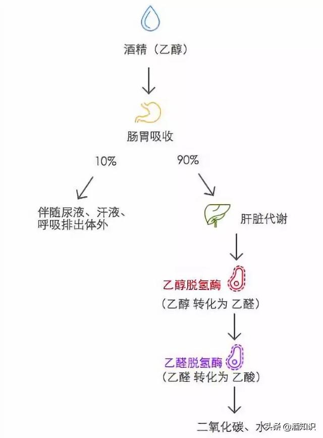 高分子过滤机厂