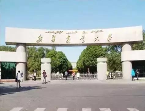 威龙综合破碎机3000