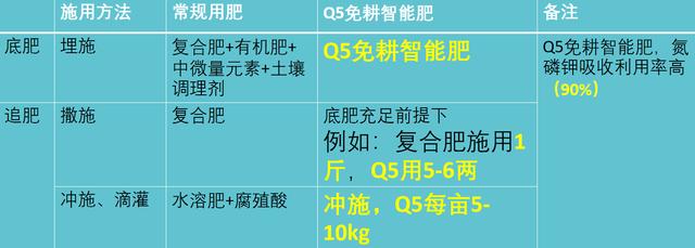 柑橘烂根咋回事？怎么办？你想知道的都在这了5