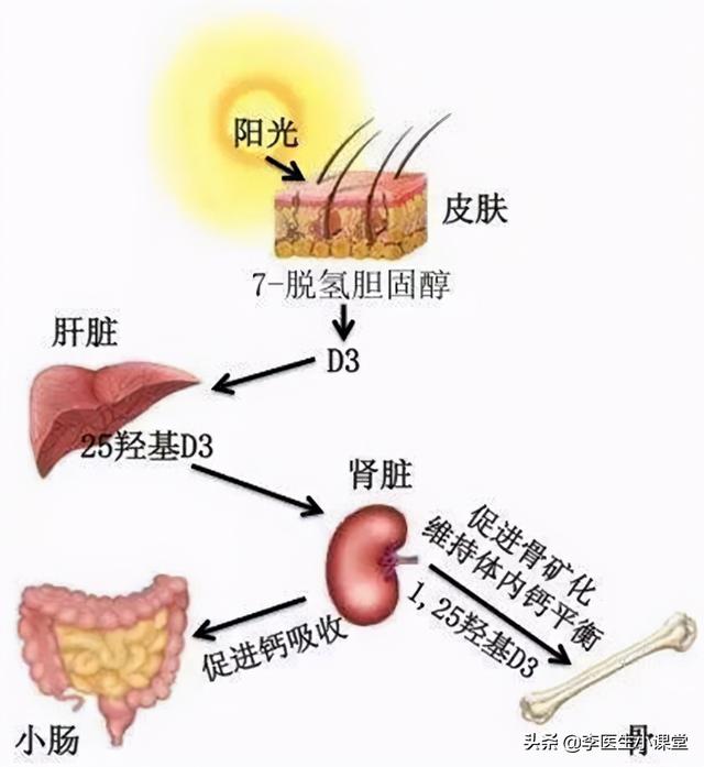 五十岁的女性，如何补钙对抗骨质疏松？这3个细节要注意