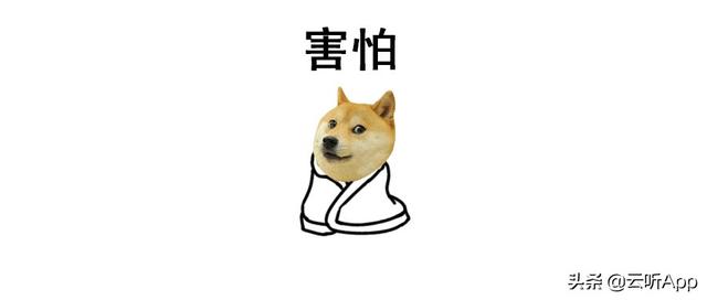 千里共良宵 | 子乐：断舍离的人生，有多爽？