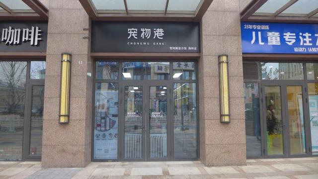 北京宠物美容团购